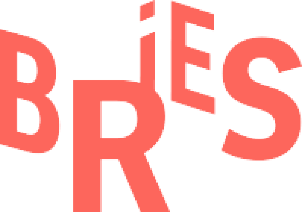 Logo Buro Bries.